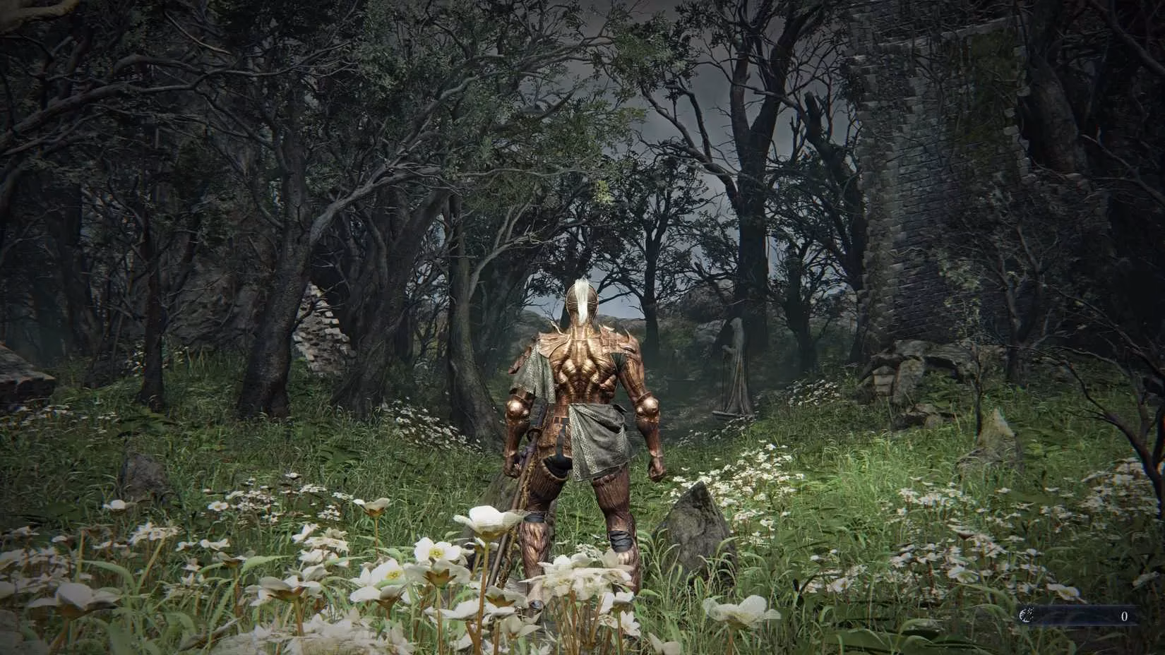 one-players-complicated-journey-through-elden-ring-nightreign-image-4